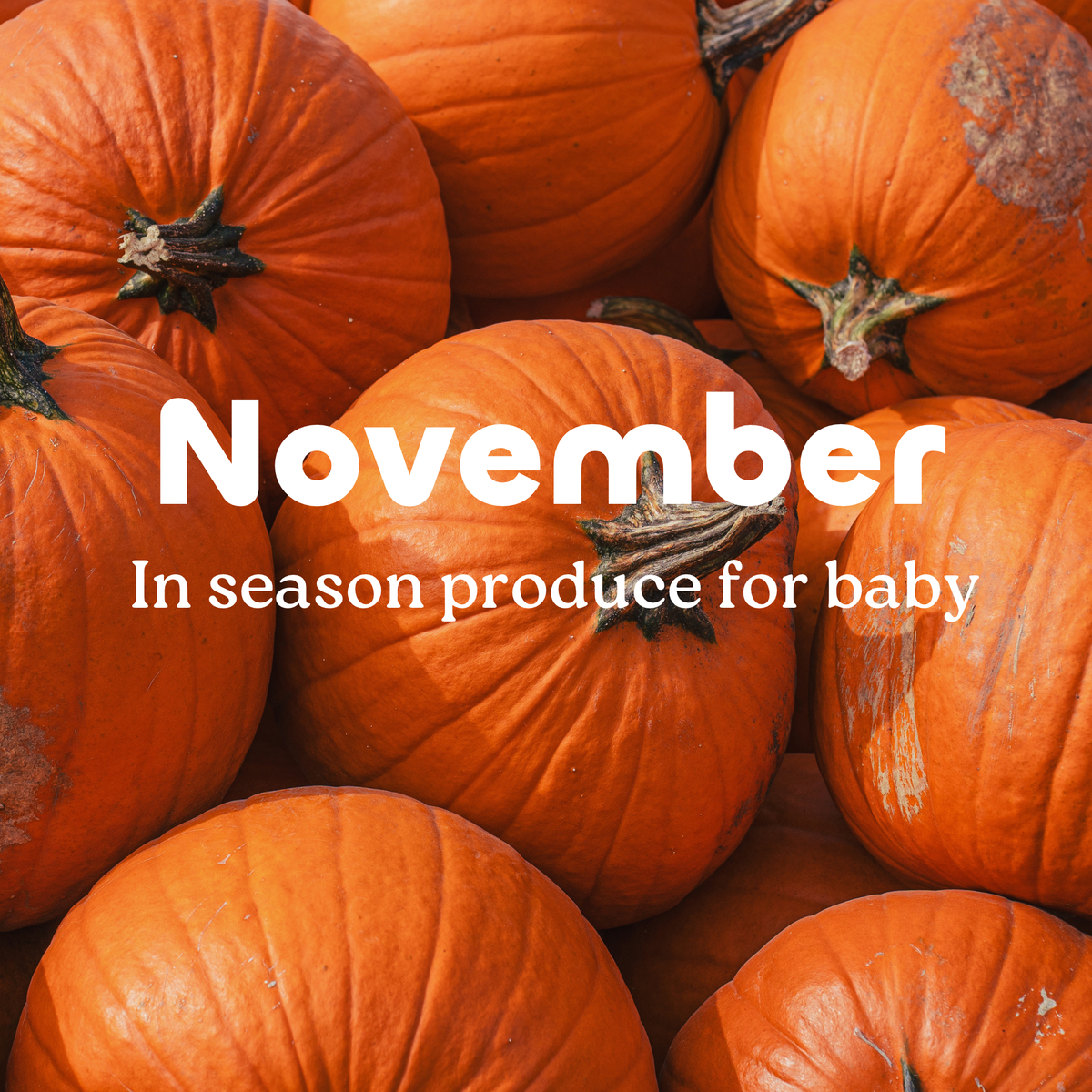 What's In Season: November Produce for Baby Food