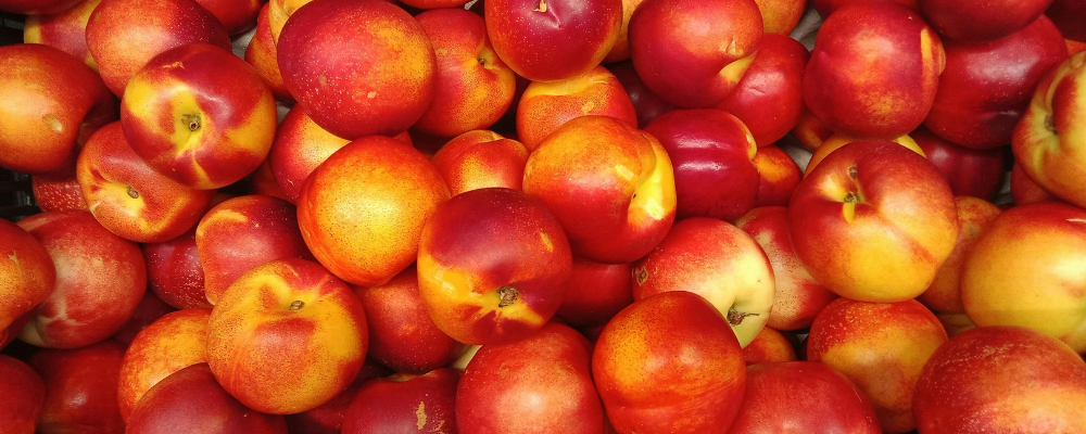 Nectarine Chicken Puree Recipe for Baby