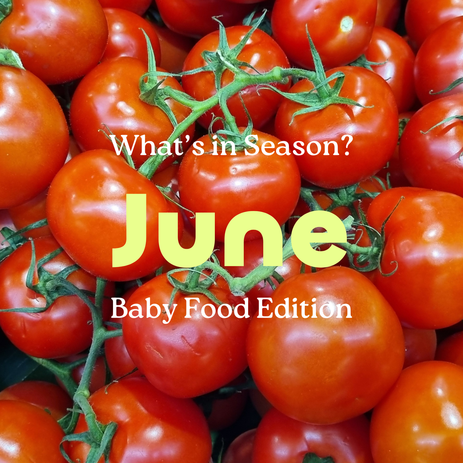 What's in Season: June Product for Baby Food